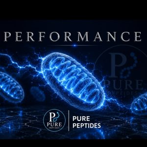 Performance & Longevity